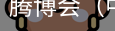 腾博会